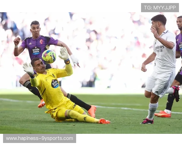 巴拉多利德俱乐部发展历程与未来战略全景解析